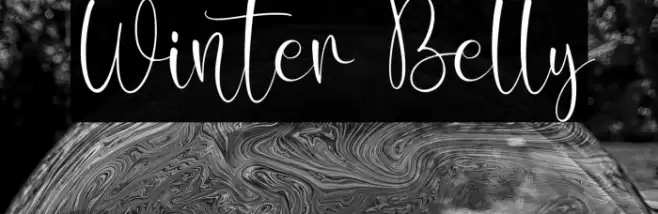 Winter Belly Font examples