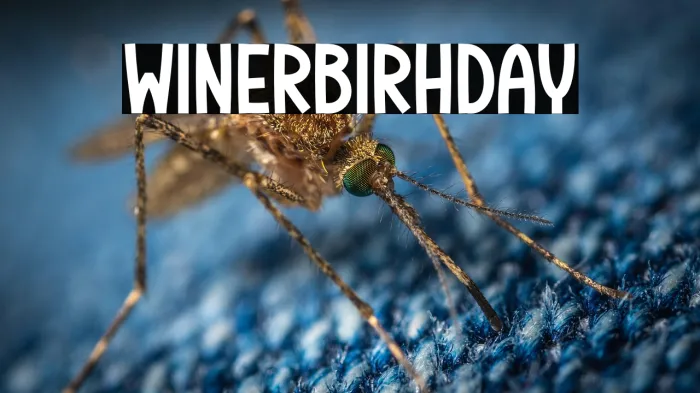 Winter Birthday Example 2