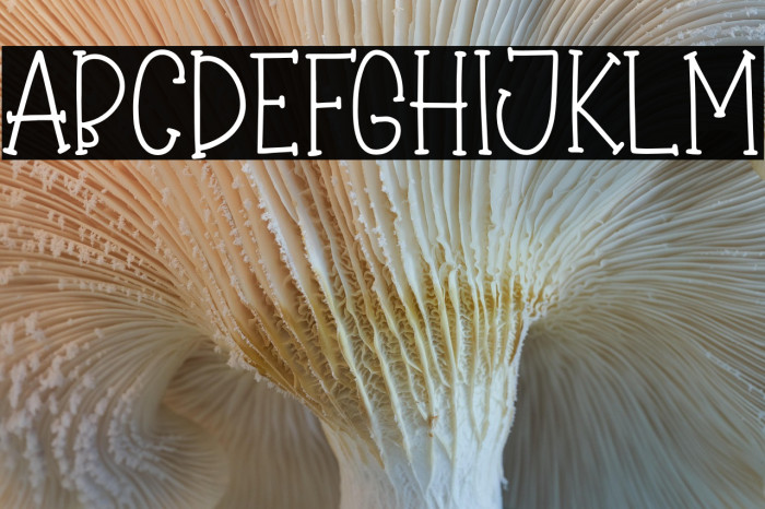 Winter Bliss Example 1