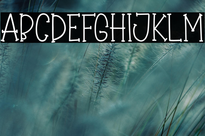 Winter Bliss Example 3