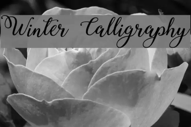 Winter Calligraphy フォント examples