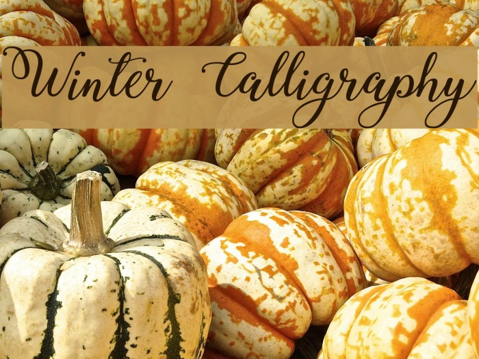 Winter Calligraphy Font examples