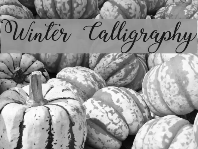 Winter Calligraphy フォント examples