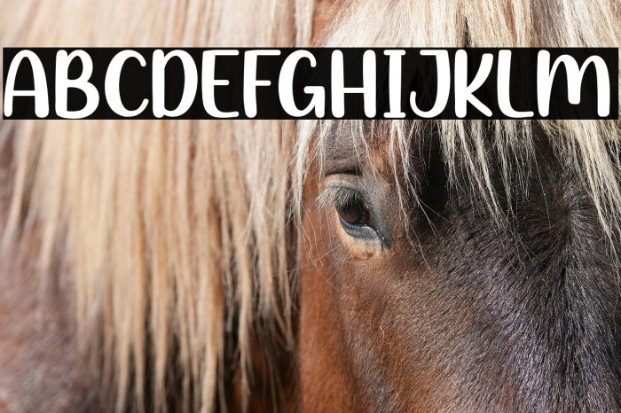 Winter Candy Example 1