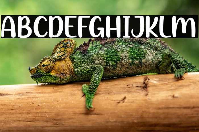 Winter Candy Example 2