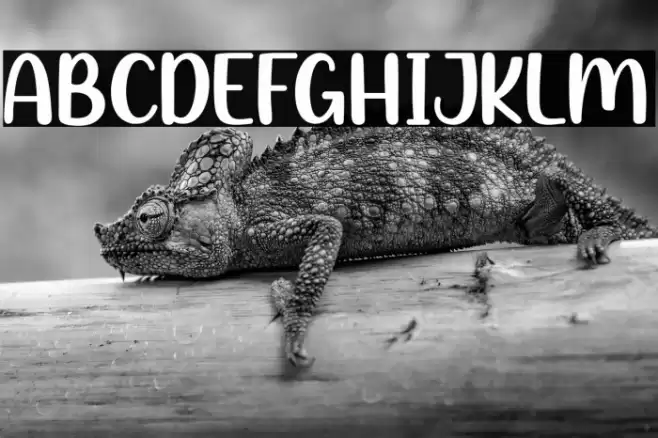 Winter Candy Font examples