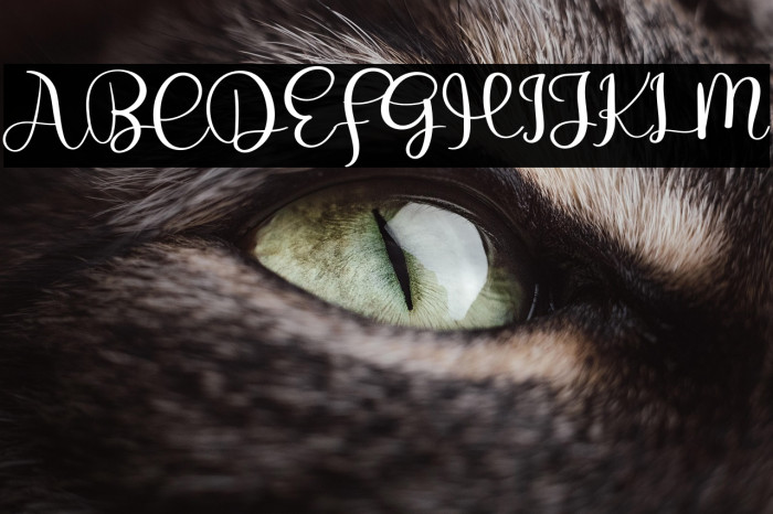 Winter Christmas Example 2