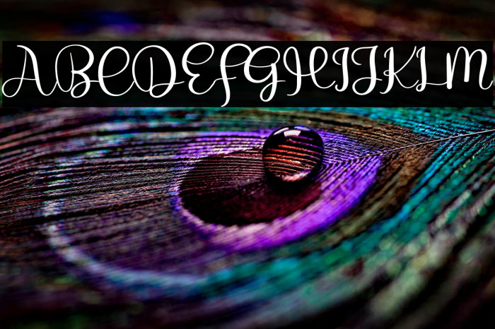 Winter Christmas Example 3