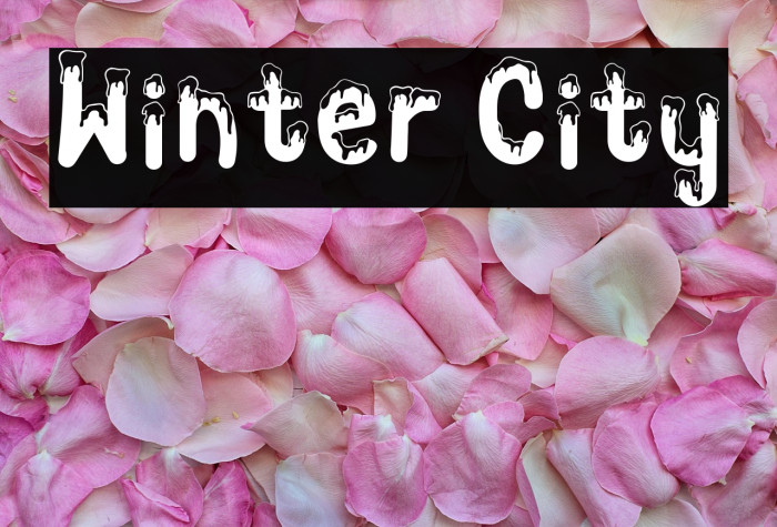 Winter City Example 2