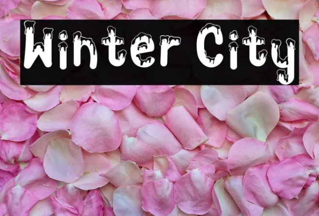 Winter City Example 2