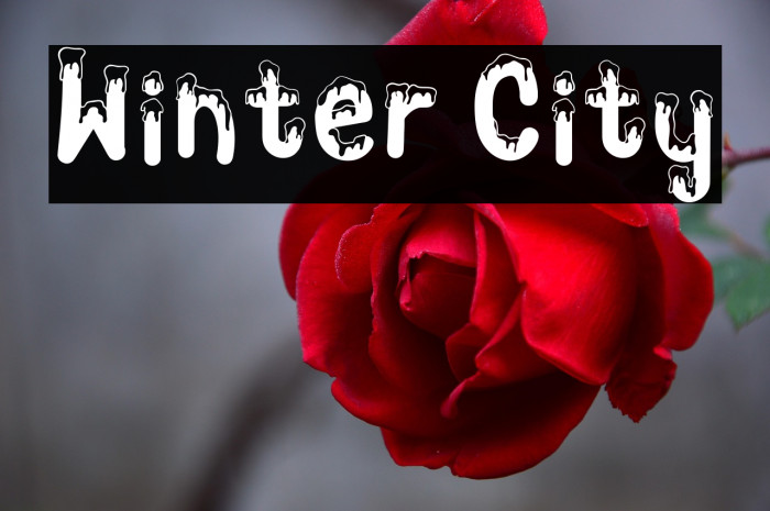 Winter City Example 3