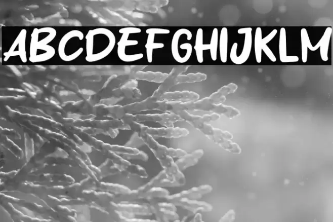 Winter Coffee Font examples