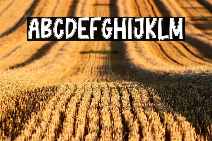 Winter Cookies Example 2