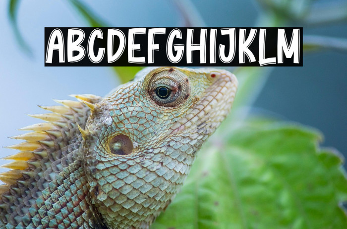 Winter Cookies Example 3