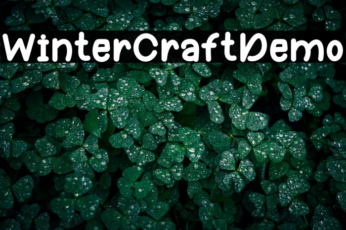 Winter Craft Demo Example 1