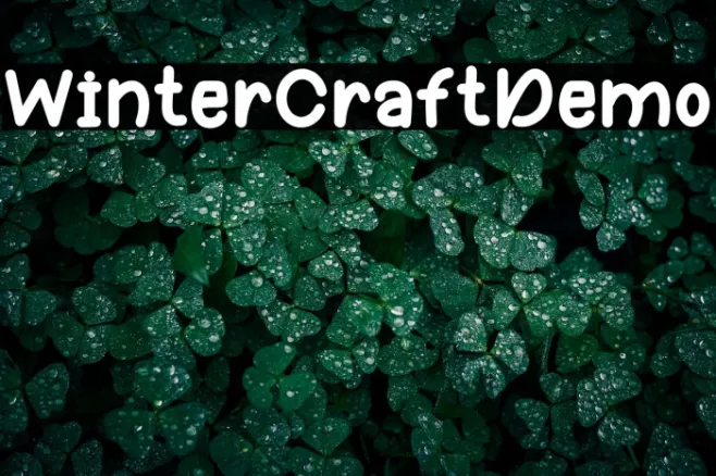 Winter Craft Demo Example 1
