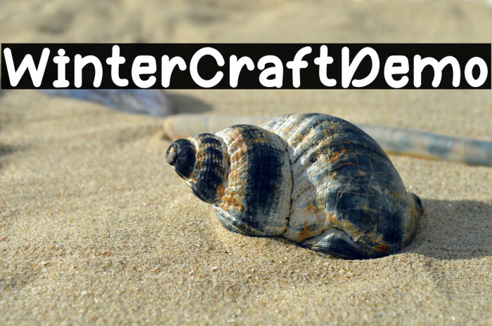 Winter Craft Demo Example 3