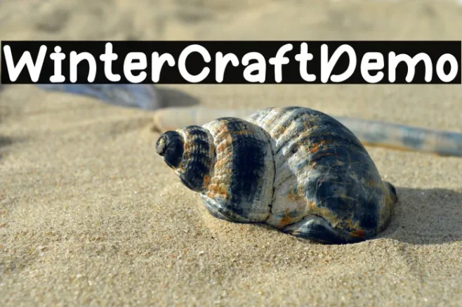 Winter Craft Demo Example 3