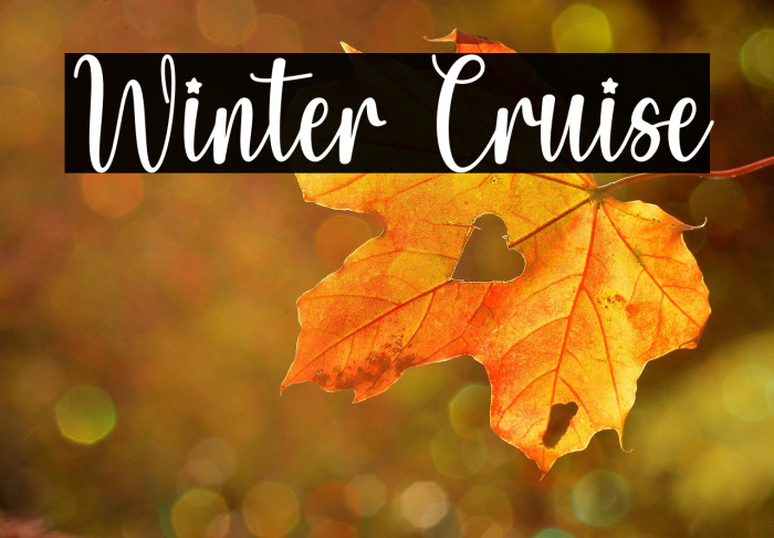 Winter Cruise Example 1
