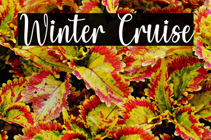 Winter Cruise Example 2