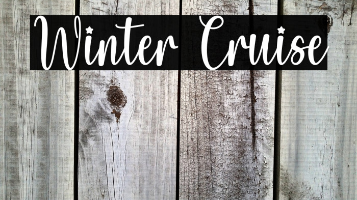 Winter Cruise Example 3