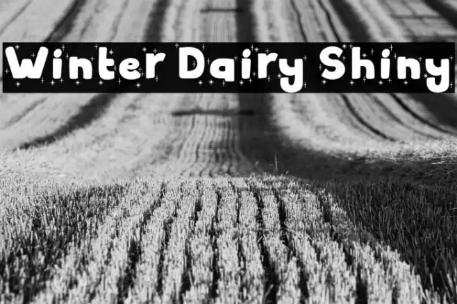 Winter Dairy Shiny Font examples