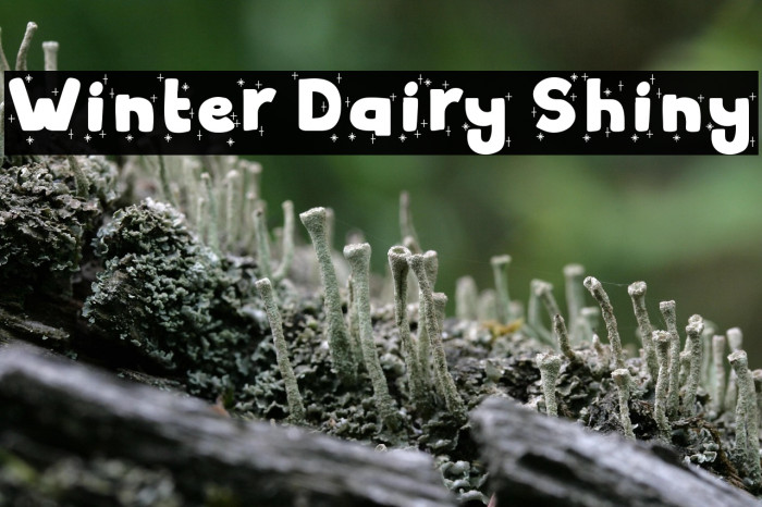 Winter Dairy Shiny Example 3