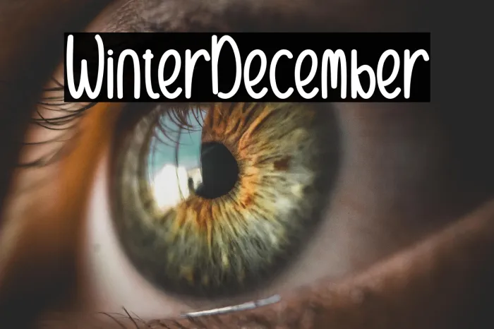 Winter December Example 2