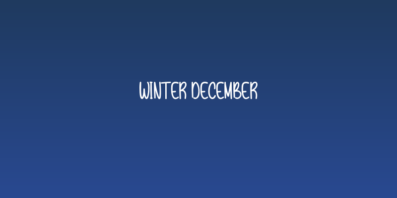 Winter December Social Header
