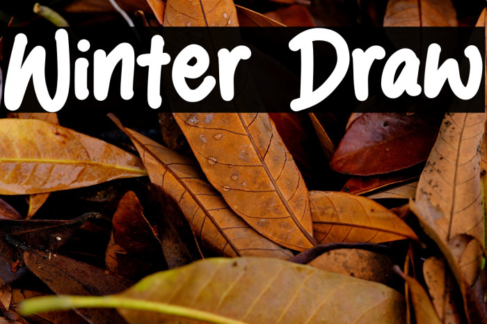 Winter Draw Example 1