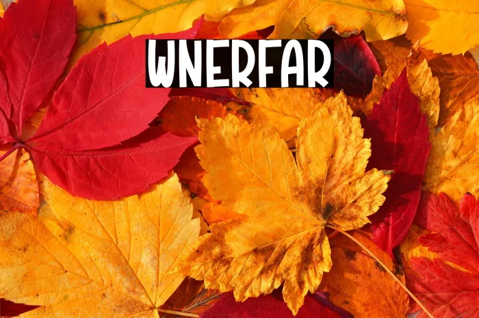 Winter Fair Example 2