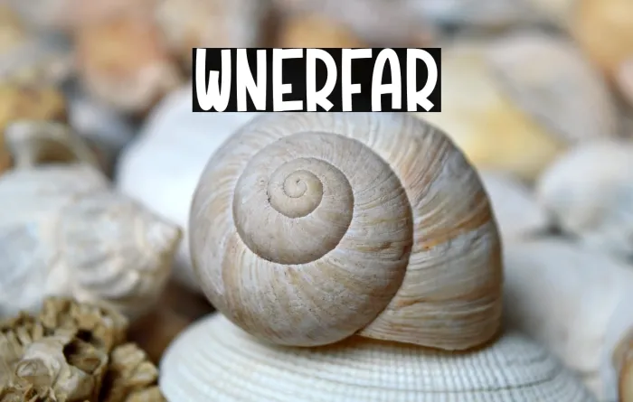 Winter Fair Example 3