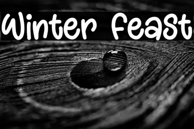 Winter Feast Font examples