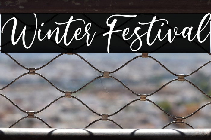 Winter Festival Example 1