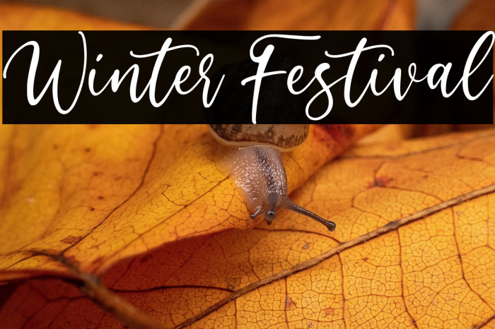 Winter Festival Example 2