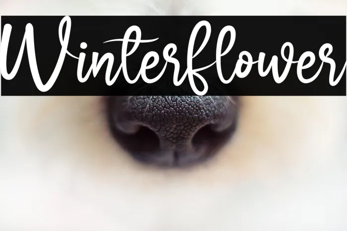 Winter Flower Example 1
