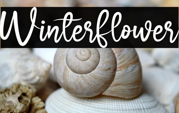 Winter Flower Example 2