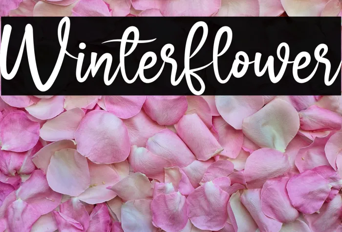 Winter Flower Example 3