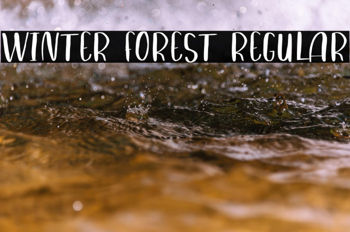 Winter Forest Regular Example 1