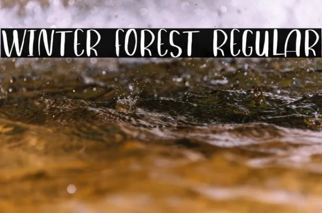 Winter Forest Regular Example 1