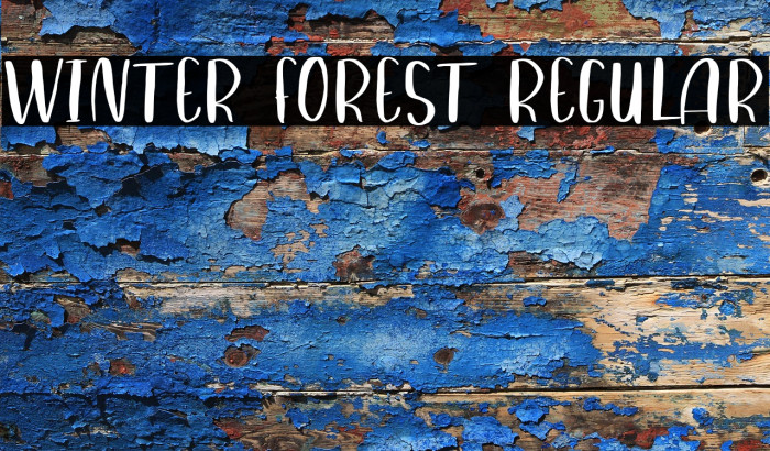 Winter Forest Regular Example 2