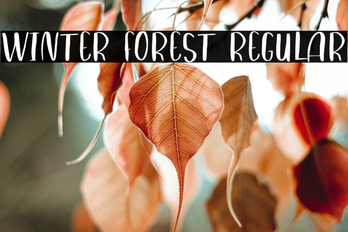 Winter Forest Regular Example 3