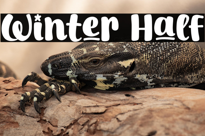 Winter Half Example 2