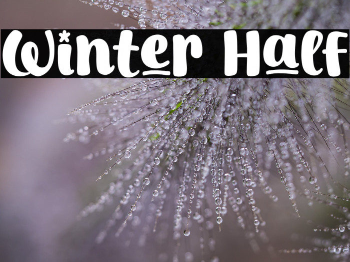 Winter Half Example 3