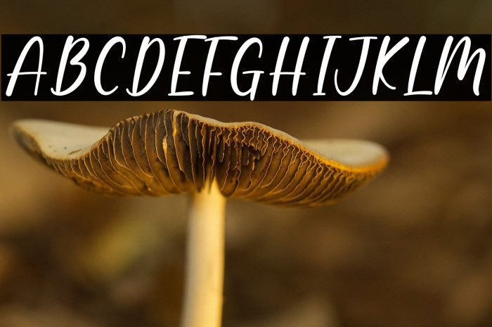 Winter Holiday Example 1