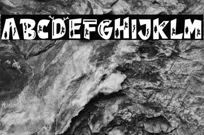 Winter House Polices examples