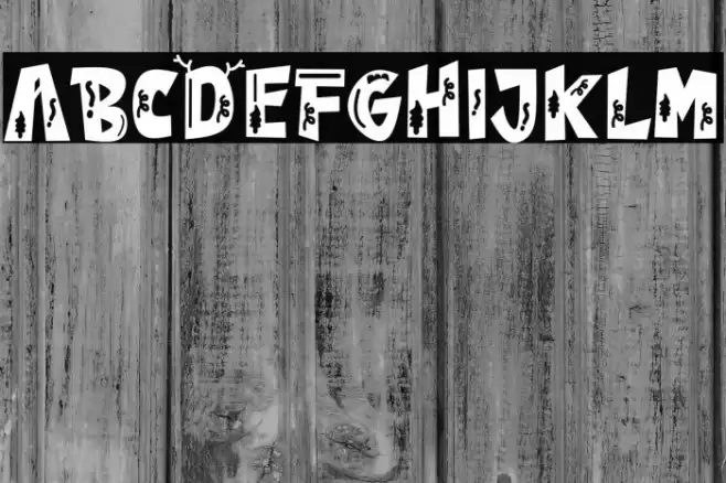 Winter House Polices examples