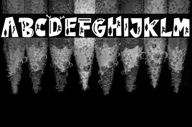 Winter House Polices examples