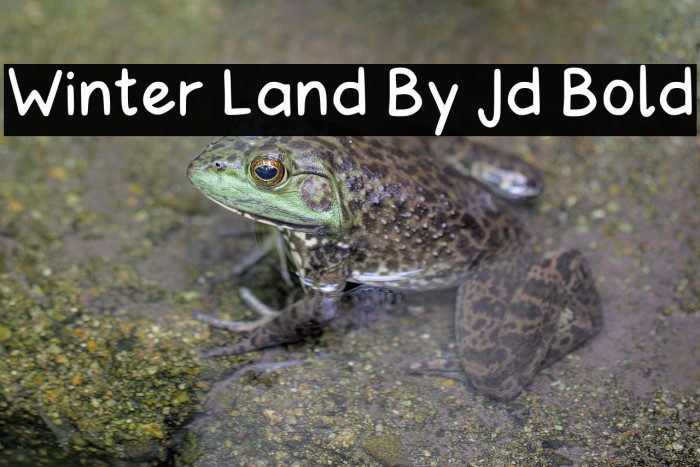 Winter Land By Jd Bold Example 1
