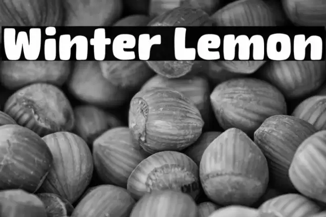 Winter Lemon Font examples